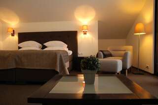 Отель Margis Hotel & SPA Тракай Двухместный номер Делюкс с 1 кроватью и доступом в спа-центр-2
