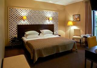 Отель Margis Hotel & SPA Тракай Стандартный двухместный номер с 1 кроватью или 2 отдельными кроватями и доступом в спа-центр-1