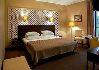 Отель Margis Hotel & SPA Тракай Стандартный двухместный номер с 1 кроватью или 2 отдельными кроватями и доступом в спа-центр-7